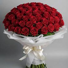 Букет 101 Красная роза Блэк Мэджик в Новохопёрский