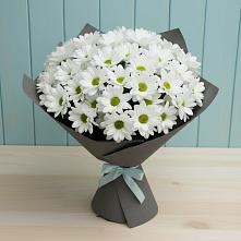 Букет цветов из:  Хризантемы в Новохопёрский