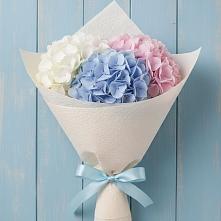 Букет цветов из:  Гортензия в Новохопёрский