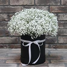 Цветочная композиция из Гипсофила в шляпной коробке в Новохопёрский