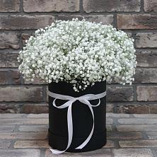 Цветочная композиция из Гипсофила в шляпной коробке в Новохопёрский