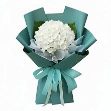 Букет цветов из:  Гортензия в Новохопёрский